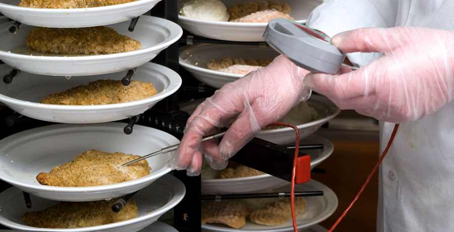 person measuring food temperature